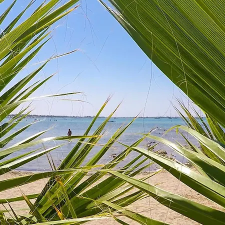 Vacanze Per Famiglie Vicino Al Mare M515 Porto Cesareo